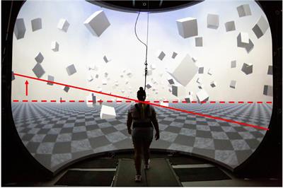 Individuals with cerebral palsy show altered responses to visual perturbations during walking